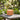 Palo Santo Aura Citronella Triple Wick Candle