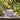 Lavender Aura Citronella Triple Wick Candle