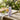 Aura Citronella Lavender Body Spray
