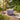 Lavender Aura Citronella Petite Candle
