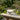 Citronella Eucalyptus Triple-Wick Candle