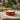 Citronella Citrus & Basil Triple Wick Terracotta Candle