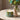 V&A Night Owls Petite Candle